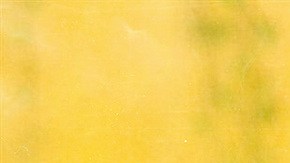 Art by Stephany Torres for Remezcla