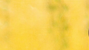 Art by Stephany Torres for Remezcla