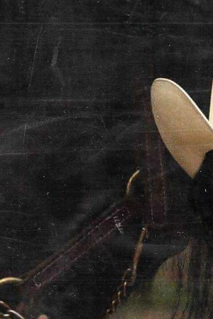 Art by Stephany Torres for Remezcla