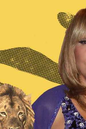 Art by Stephany Torres for Remezcla