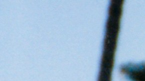 Photo courtesy of the artist.