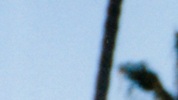 Photo courtesy of the artist.