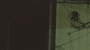 Photo courtesy of the artist