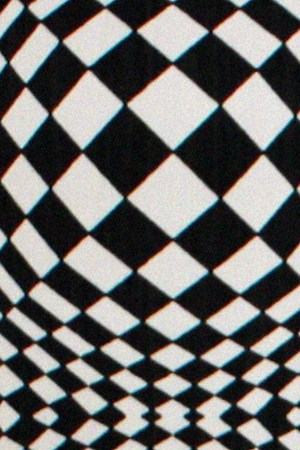 Photo by Denée Segall. Courtesy of the artist