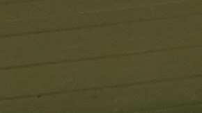 Photo courtesy of the artist