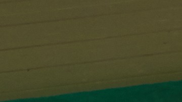 Photo courtesy of the artist