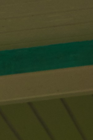 Photo courtesy of the artist