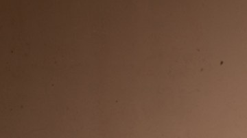 'Tehuana.' Courtesy of the filmmakers.