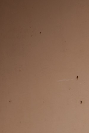 'Tehuana.' Courtesy of the filmmakers.