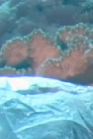 'Endgame 2050.' Courtesy of the filmmakers.