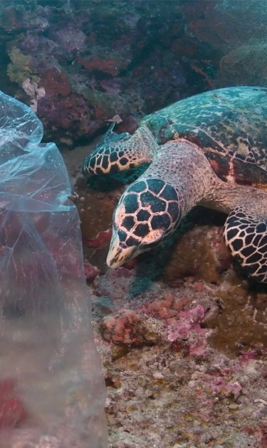 'Endgame 2050.' Courtesy of the filmmakers.