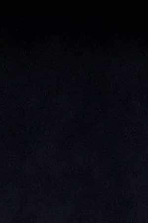 Alfonso Cuarón, Marina de Tavira, Yalitza Aparicio and translator speak onstage at the Netflix 'Roma' Experience at Raleigh Studiods on December 09, 2018 in Los Angeles, California. Photo by Charley Gallay/Getty Images