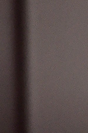 Indya Moore attends the Bvlgari B.zero1 Rock collection event at Duggal Greenhouse on February 06, 2020 in Brooklyn, New York. Photo by Steven Ferdman/Getty Images