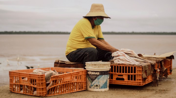 A fishmerman wearing a face mask works in the river market Ver-o-Peso on May 08, 2020 in Belem, Brazil. Photo by Nay Jinknss/Getty Images