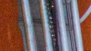 People mingle close to one another as businesses in the flower district in Skid Row reopen in time for Mother's Day on May 8, 2020 in Los Angeles, California. Photo by David McNew/Getty Images