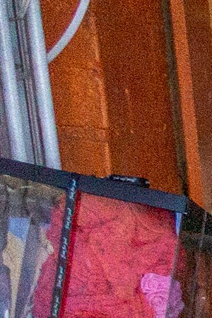 People mingle close to one another as businesses in the flower district in Skid Row reopen in time for Mother's Day on May 8, 2020 in Los Angeles, California. Photo by David McNew/Getty Images