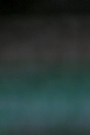 Portrait of a man wearing a protective mask with both Brazilian and Venezuelan flags at Manaus Moderna market, on May 20 2020 in Manaus, Brazil. Photo by Andre Coelho/Getty Images