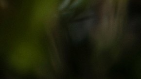 Police aim their weapons at protesters in the parking lot of a Target store on May 28, 2020 in St. Paul, Minnesota. Photo by Stephen Maturen/Getty Images