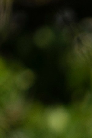 Police aim their weapons at protesters in the parking lot of a Target store on May 28, 2020 in St. Paul, Minnesota. Photo by Stephen Maturen/Getty Images