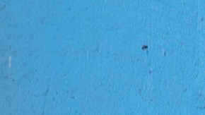 People wearing face masks check their mobile phones in the street during coronavirus lockdown on April 24, 2020 in Lima, Peru. Photo by Stringer/Getty Images