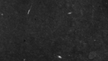 October 1970: Assistant professor of philosophy at the University of California Angela Davis is arrested in New York for her membership of the Black Panther Party.   Photo by Keystone/Getty Images