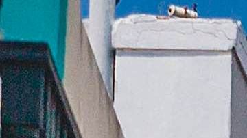 Photo by Getty Images