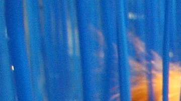 The installation 'Penetrable BBL bleu' of Jesus Rafael Soto is seen during the opening of the 39th edition of Art Basel on June 3, 2008 in Basle, Switzerland. Photo by Johannes Simon/Getty Images