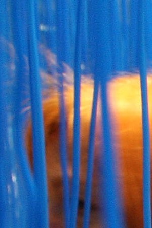 The installation 'Penetrable BBL bleu' of Jesus Rafael Soto is seen during the opening of the 39th edition of Art Basel on June 3, 2008 in Basle, Switzerland. Photo by Johannes Simon/Getty Images