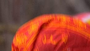 Courtesy of IFF Panama.