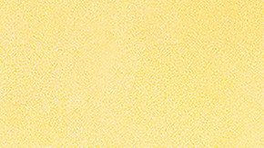 Photo courtesy of the Artist.