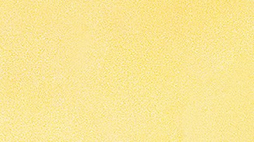 Photo courtesy of the Artist.