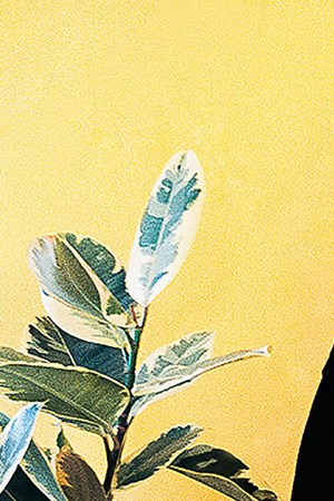 Photo courtesy of the Artist.