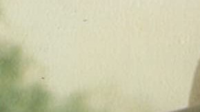 Courtesy of Amazon Prime.