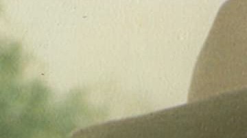 Courtesy of Amazon Prime.