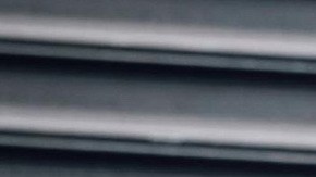 Courtesy of Bronx Native