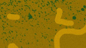 Art by Stephany Torres for Remezcla.