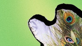 Art by Stephany Torres for Remezcla