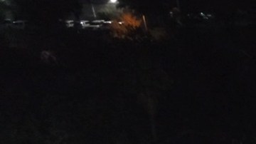 'The Infiltrators.' Courtesy of Oscilloscope.