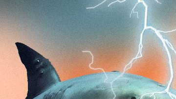 Art by Alan López for Remezcla