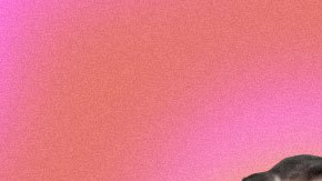 Art by Stephany Torres for Remezcla