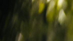 Courtesy of Jevas Combativas.