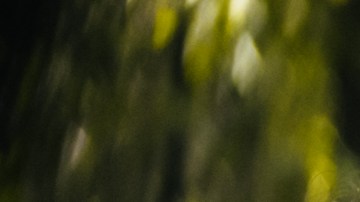 Courtesy of Jevas Combativas.