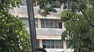 'Force of Nature.' Courtesy of Lionsgate.