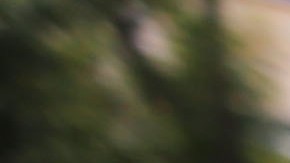 A young woman protesting holding a poster that says "Stop kiling us" in Bogotá, Colombia. Photo by Ana Luisa González.
