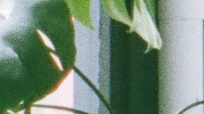 Photo by Ian Devaney. Courtesy of the artist