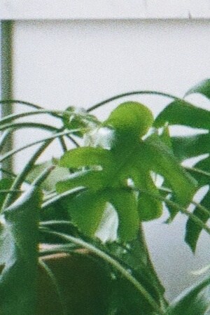 Photo by Ian Devaney. Courtesy of the artist