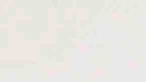 Photo credit: Shayan Asgharnia. Courtesy of I Stand With Immigrants Initiative.