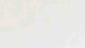 Photo credit: Shayan Asgharnia. Courtesy of I Stand With Immigrants Initiative.