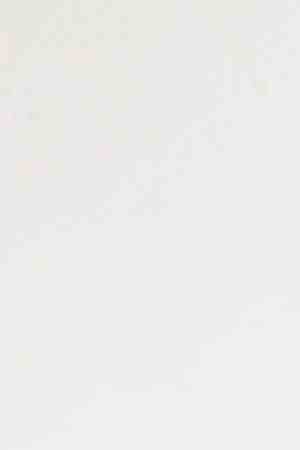 Photo credit: Shayan Asgharnia. Courtesy of I Stand With Immigrants Initiative.