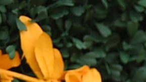 Joan Smalls attends the 12th Annual Veuve Clicquot Polo Classic at Liberty State Park on June 01, 2019 in Jersey City, New Jersey. Photo by Jamie McCarthy/Getty Images